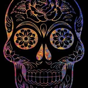 Meet your Posher, Crissy